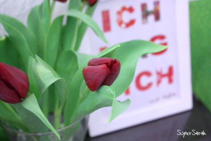 Tulpen Tulpen