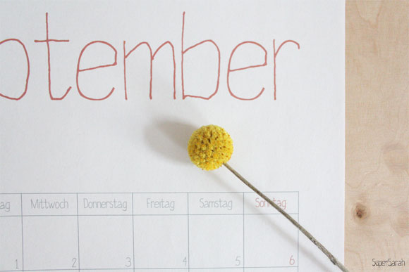 SuperSarah - Kalender 2015