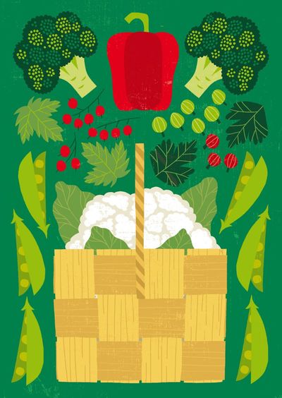 Postkarte "Kori" - der Korb voller Gemüse