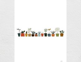 Plants A4