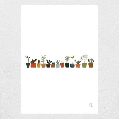 Plants A4